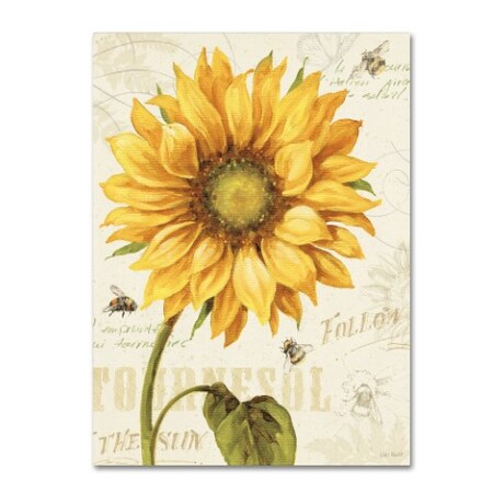 Trademark Fine Art Lisa Audit 'Under the Sun I' Canvas Art, 18x24 WAP0221-C1824GG